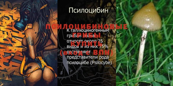 тгк Зеленокумск