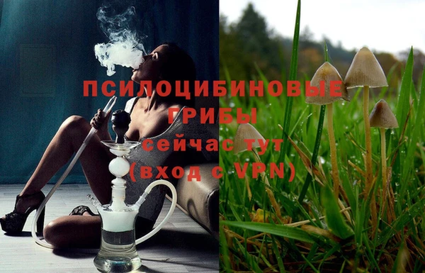 тгк Зеленокумск