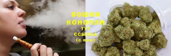 твердый Зеленодольск