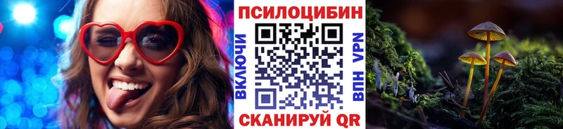 Псилоцибиновые грибы MAGIC MUSHROOMS Купить где Сысерть