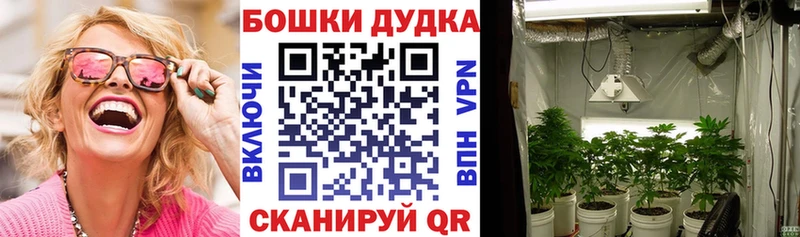 Купить где  Сысерть  Бошки марихуана OG Kush 
